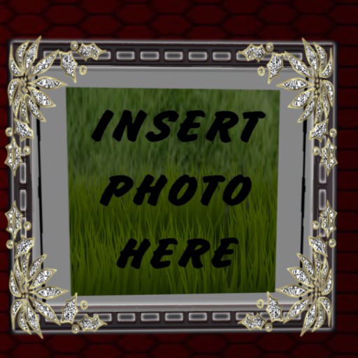 C & D Enterprises - Photo Frame-Black Trim with Silver Leaves