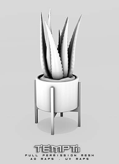 TEMPTii - ALOE POTPLANT - FULL PERM