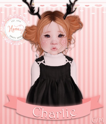 {.Honey.} ~ Charlie Bento Shape ~