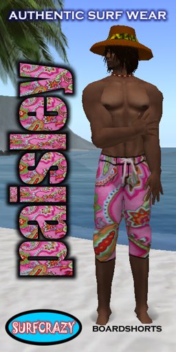 Surfing Paisley Boardshorts