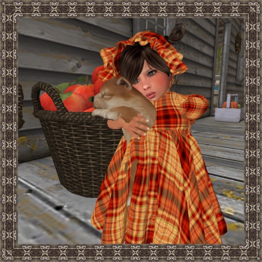 OLD WEST LITTLE ONES DRESS {HARVEST HOME PLAID 1}BOXED