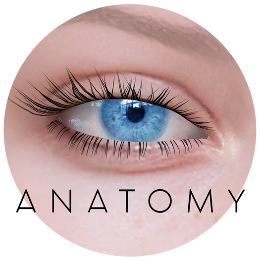 ANATOMY -  Real Eyes - Blue - ADD ME