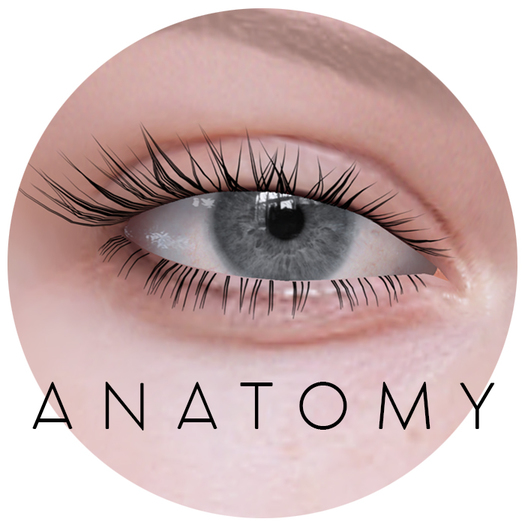 ANATOMY -  Real Eyes - Grey