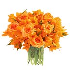 FULL PERMS Flower Plant Orange Vase Halloween Texture ORIG HiQuality TGA FF510