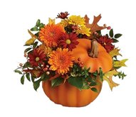 FULL PERMS Flower Plant Pumpkins Texture ORIGINAL High Quality TGA