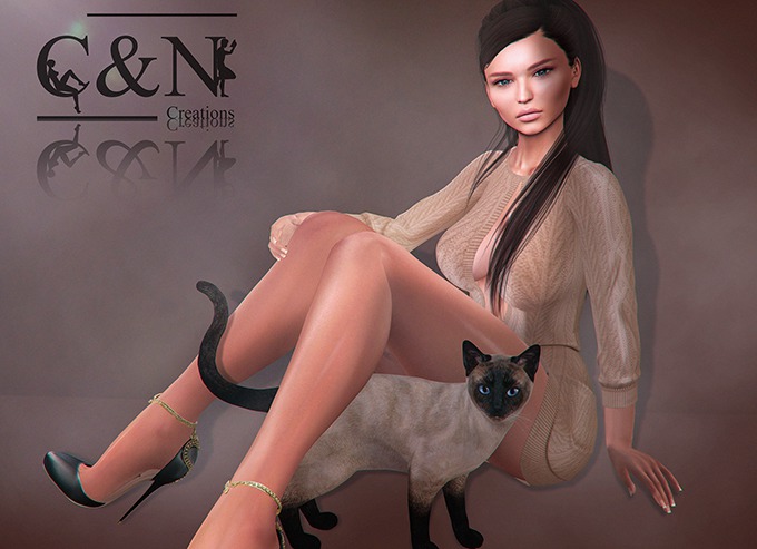 C&N Creations - Pose:Sit_1