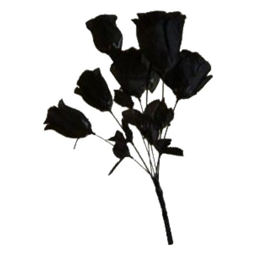 FULL PERMS Flower Plant Black Roses Texture ORIGINAL High Quality TGA