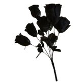 FULL PERMS Flower Plant Black Roses Texture ORIGINAL High Quality TGA