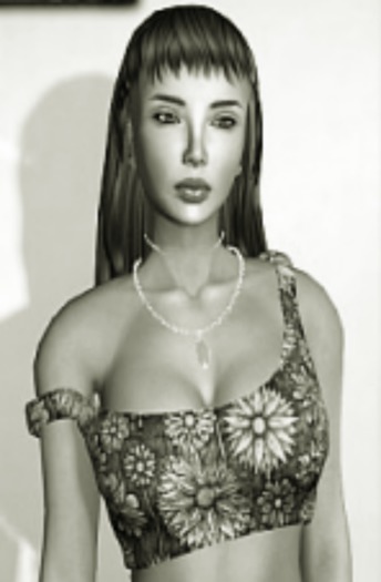 Shanti DEMO Off Shoulder Crop Top