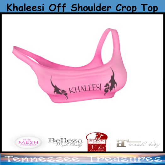 Khaleesi Off Shoulder Crop Top