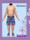 [BB] SwimShortsCars