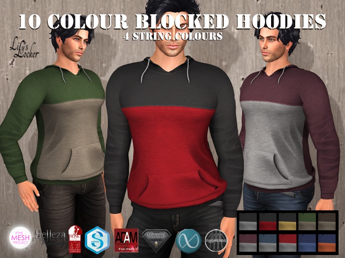 LL - DEMO Men's Colour Blocked Hoodies 