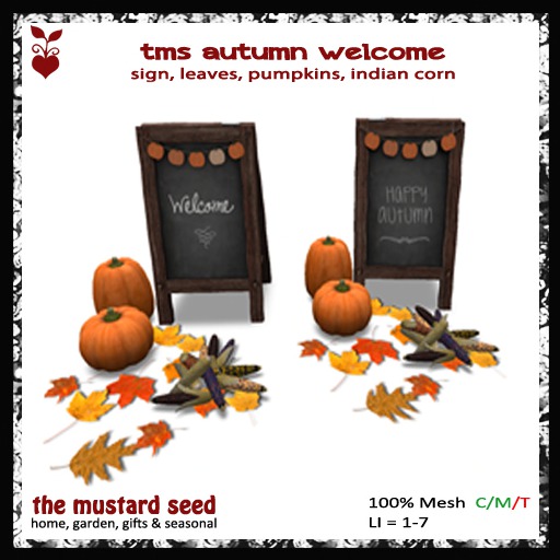 tms autumn welcome_(linked & unlinked)