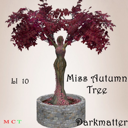 Miss Autumn Tree