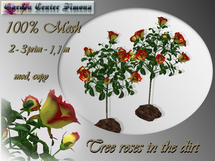 Tree roses in the dirt, yellow&red, mesh_003_9