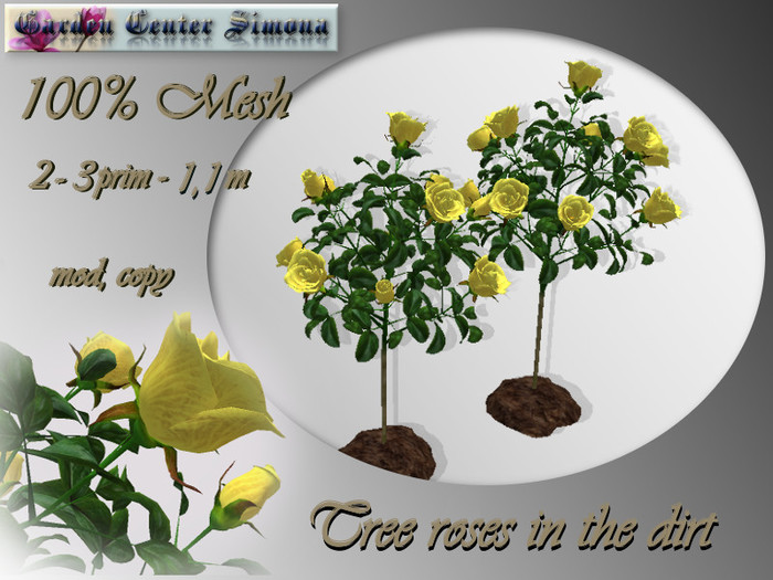 Tree roses in the dirt, yellow, mesh_001_6