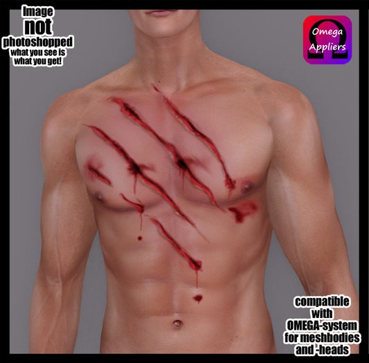 Wound_Claw_Chest