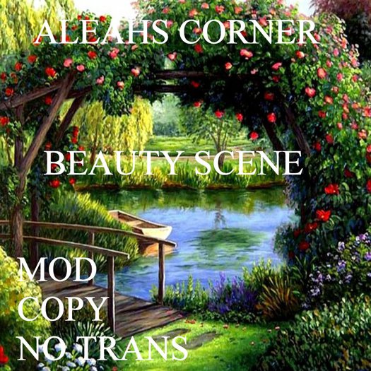BEAUTY SCENE TEXTURE