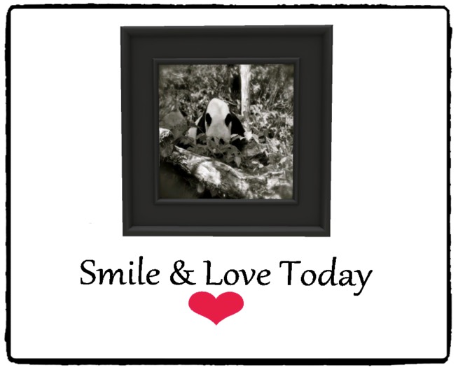 ** RG _ Panda Bear _ Black Frame _ Boxed