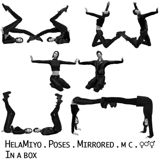 HelaMiyo :: Poses :: In a box [add]