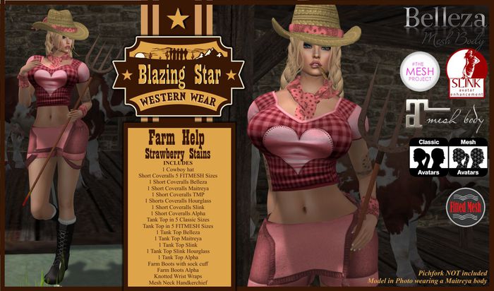 *BLAZING STAR*Farm Help-Strawberry Stains