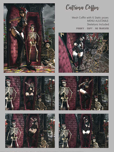 [ Focus Poses ] Catrina Coffin