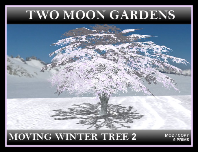 Winter Tree|2