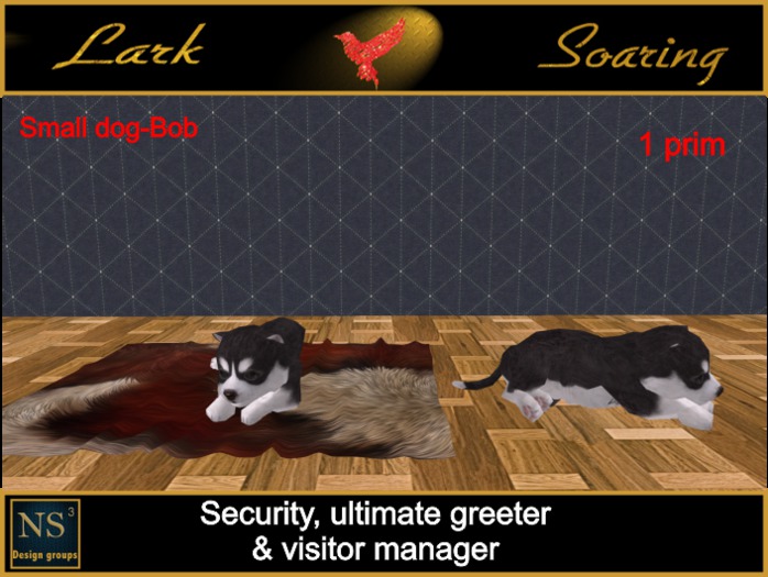 Security, ultimate greeter & visitor manager-Small dog-Bob