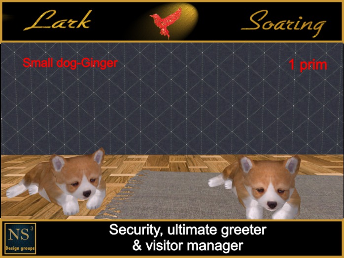 Security, ultimate greeter & visitor manager-Small dog-Ginger