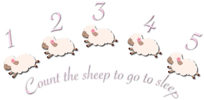 Kids Wall Decor - Lil Lamb Count