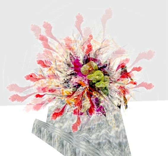 Flower Growing Rock by Rita Munro