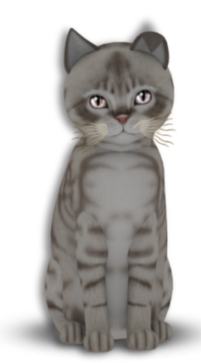 KittyCatS Box - 8T Aussie Blue F Ody Bell Chic