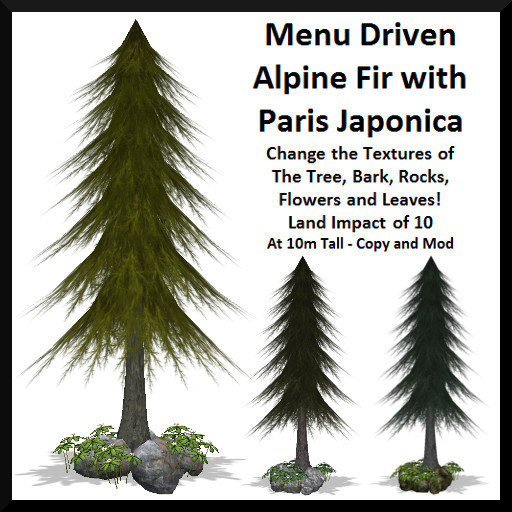 Menu Driven Alpine Fir with Paris Japonica - Boxed