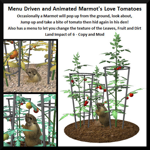 Menu Driven and Animated Marmot's Love Tomatoes