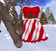 Nixxi Fashions - Ruffled Christmas Dress GROUP GIFT