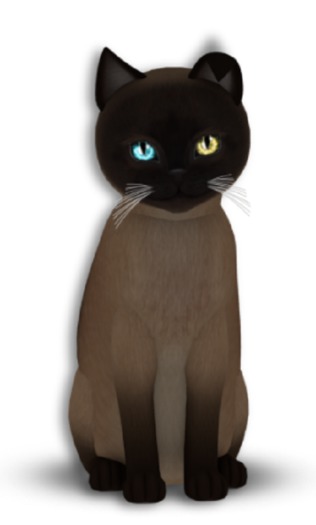 KittyCatS Box - 8T Tonk Champ Male Adore