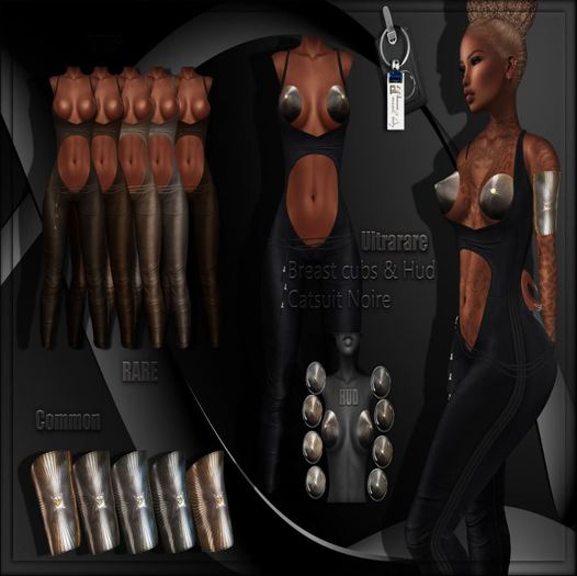 Yasum*Cyber Warrior*COMMON*Silver