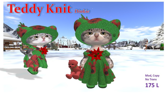 Teddy Knit Dinkie Box