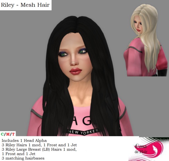 Casa de Hair -- RILEY Hair (Boxed)