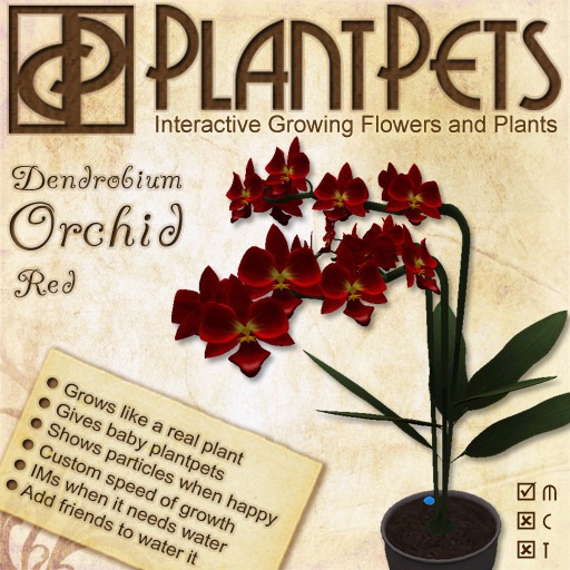 PlantPet Seed [Dendrobium Orchid *Red*] COMMON