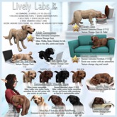 JIAN Lively Labs :: Golden Held Pup