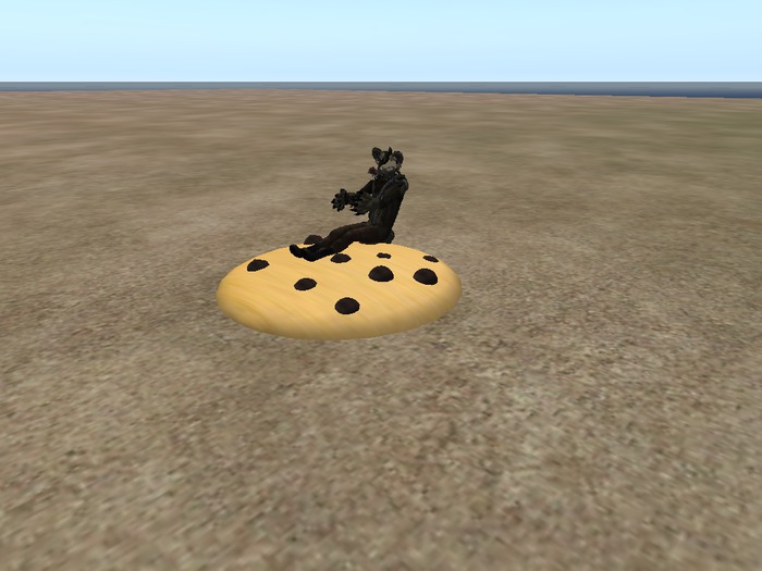 flyable cookie
