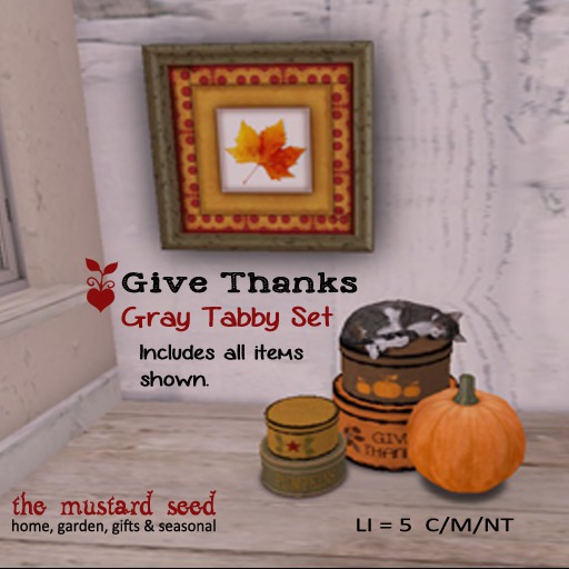 tms give thanks for thanksgiving-gray tabby *BOX*