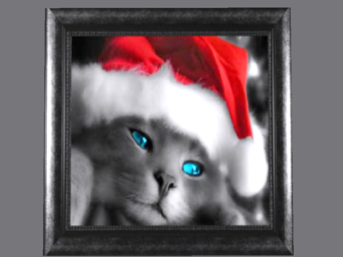 [jz] Christmas Kitty