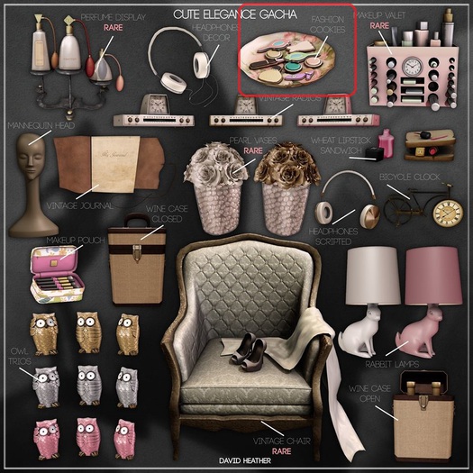 -David Heather-Fashion Cookies
