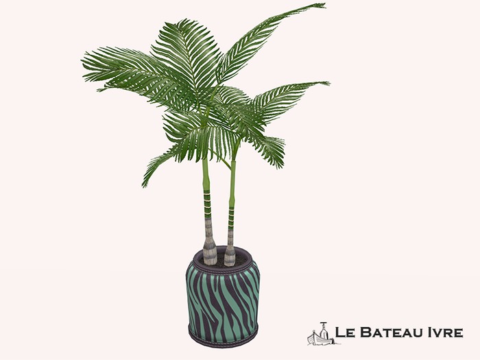 Palm Potted