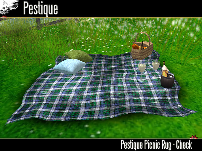 JustUs Picnic Rug Check BeachBonanza