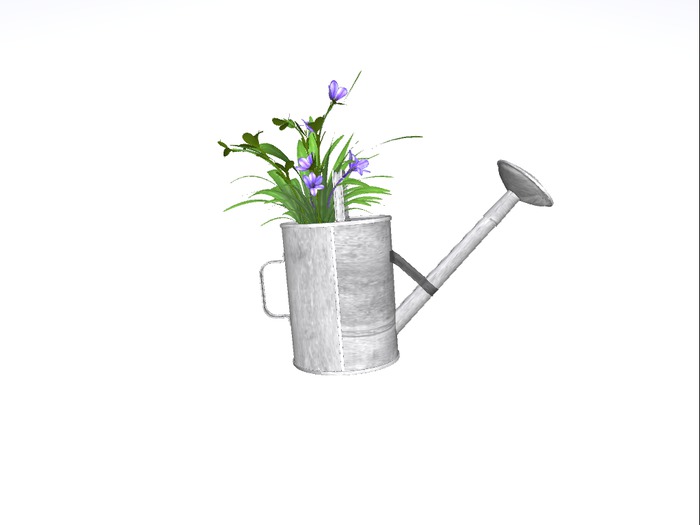 Water can with Orchids cm (boxed)