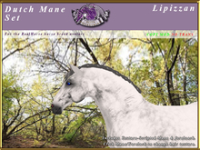 *E* RealHorse Dutch Mane Set [BOXED]  Lipizzan