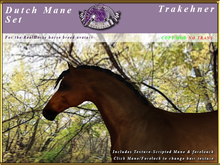 *E* RealHorse Dutch Mane Set [BOXED] Trakehner